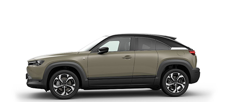 Mx 30 R EV Imm Gamma