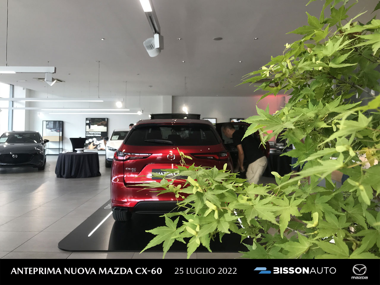 Mazda Cx60 Luglio 2022 Bissonauto 6