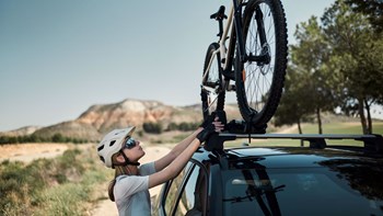 Ex40 Electric Gallery 13 16X9