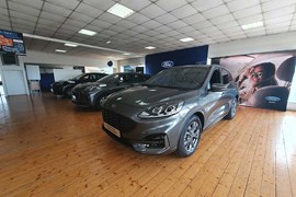 Ford Bisson Auto Rosa Bassano 2